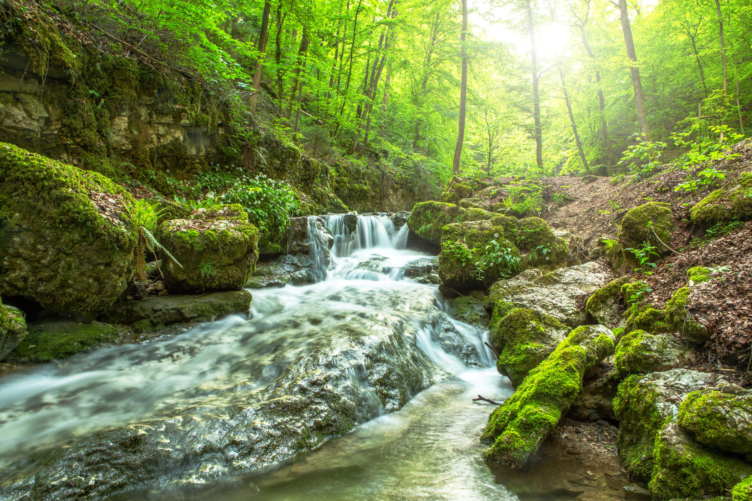 Cours d'eau